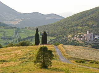 Bild 36053 von Haus Villa Sangallo