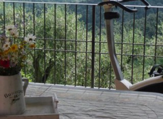 Bild 15366 von Haus Villa Dafne