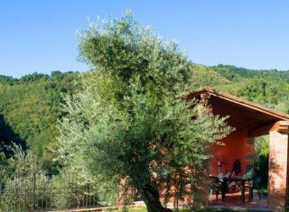 Bild 15379 von Haus Villa Dafne