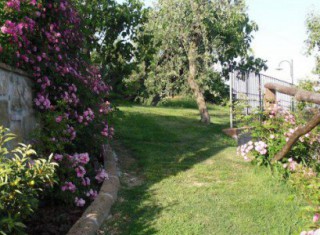 Bild 15388 von Haus Villa Dafne