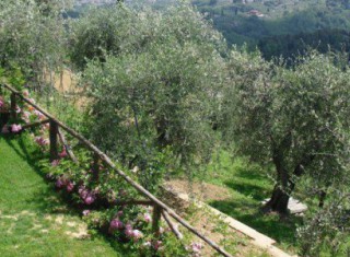 Bild 15389 von Haus Villa Dafne