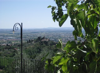 Bild 19026 von Haus Villa Dafne