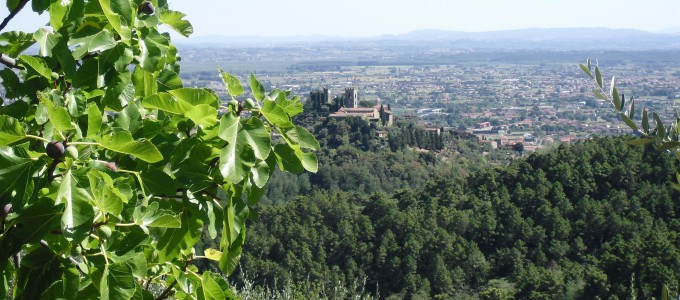 Bild 19027 von Haus Villa Dafne