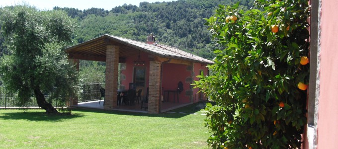 Bild 19032 von Haus Villa Dafne