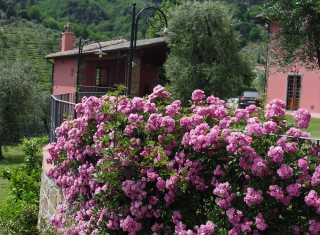 Bild 19035 von Haus Villa Dafne