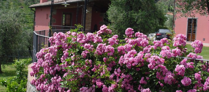 Bild 19035 von Haus Villa Dafne