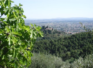 Bild 19041 von Haus Villa Dafne