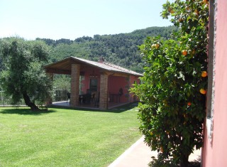 Bild 19045 von Haus Villa Dafne