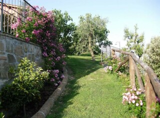 Bild 50448 von Haus Villa Dafne