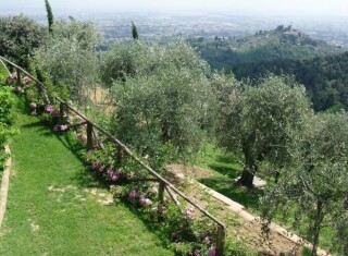 Bild 50449 von Haus Villa Dafne