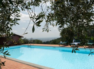 Bild 50495 von Haus Villa Dafne