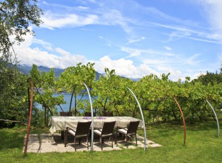 Bild 20659 von Haus Villa Garda