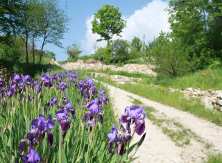 Bild 20660 von Haus Villa Garda