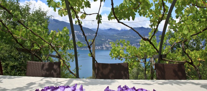 Bild 20661 von Haus Villa Garda