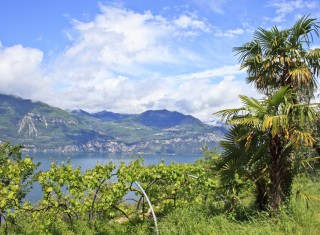 Bild 20684 von Haus Villa Garda