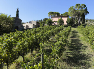 Bild 48762 von Haus Vallebuia