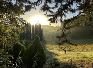 Bild 48784 von Haus Vallebuia