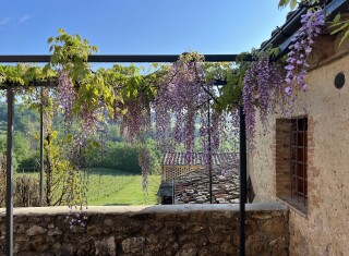 Bild 48801 von Haus Vallebuia