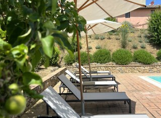 Bild 48805 von Haus Vallebuia