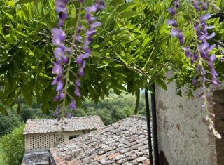 Bild 48807 von Haus Vallebuia