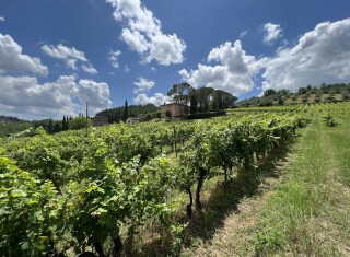 Bild 48811 von Haus Vallebuia