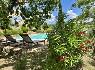 Bild 48814 von Haus Vallebuia