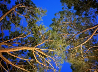 Bild 48831 von Haus Vallebuia