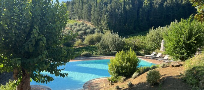 Bild 48834 von Haus Vallebuia