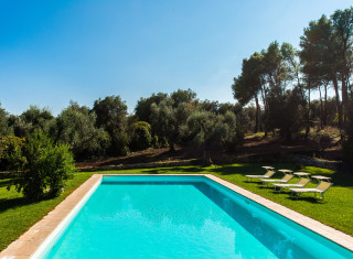 Bild 23348 von Haus Il Trulli