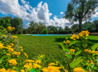 Bild 23358 von Haus Il Trulli