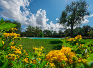 Bild 23359 von Haus Il Trulli