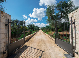 Bild 23364 von Haus Il Trulli