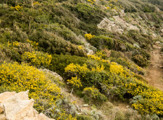 Bild 24232 von Haus Villa Gianni