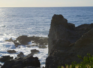 Bild 24239 von Haus Villa Gianni