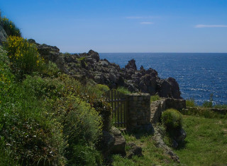 Bild 24246 von Haus Villa Gianni