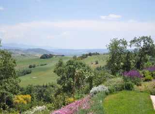 Bild 26512 von Haus Villa Palagi