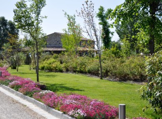 Bild 26569 von Haus Villa Palagi