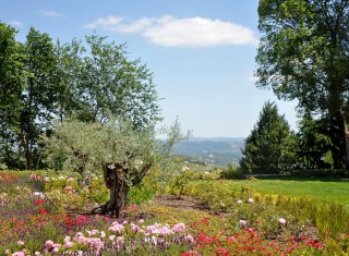 Bild 26571 von Haus Villa Palagi