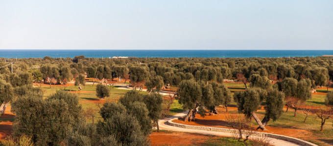 Bild 28806 von Haus Masseria Pettolecchia - La Residenza