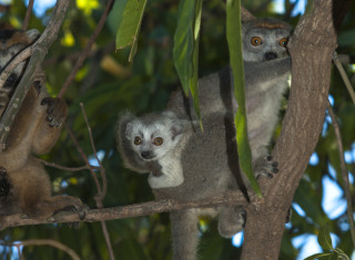 Bild 28088 von Haus Miavana