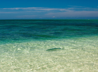 Bild 28091 von Haus Miavana