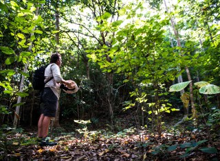 Bild 28099 von Haus Miavana