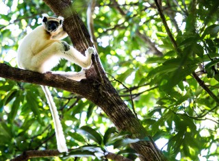 Bild 28100 von Haus Miavana