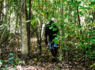 Bild 28101 von Haus Miavana