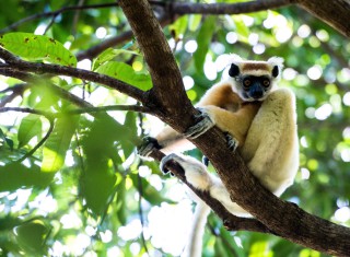 Bild 28102 von Haus Miavana