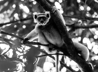 Bild 28103 von Haus Miavana