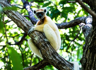 Bild 28104 von Haus Miavana