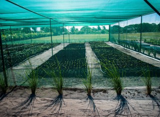 Bild 28107 von Haus Miavana