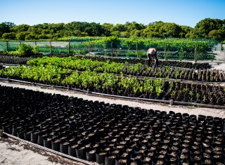 Bild 28108 von Haus Miavana