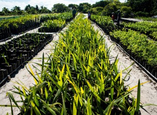 Bild 28109 von Haus Miavana